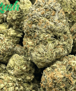 Pink El Chapo | Indica | Kush Station | Buy Weed Online In Canada