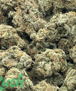 Super Lemon Haze | Sativa | Kush Station | Buy Weed Online In Canada
