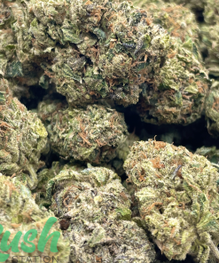 Sweet Gas | Hybrid | Kush Station | Buy Weed Online In Canada