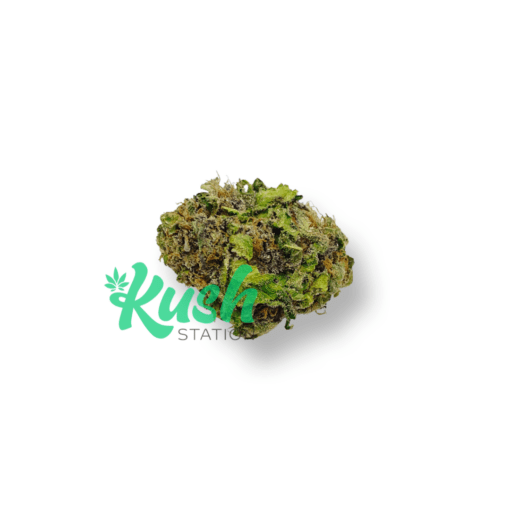 Gelato Mint | Indica | Kush Station | Buy Weed Online In Canada