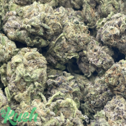 Gelato Mint | Indica | Kush Station | Buy Weed Online In Canada