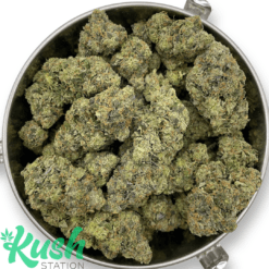 El Chapo | Indica | Kush Station | Buy Weed Online In Canada