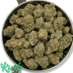 Pink Rockstar | Indica | Kush Station | Buy Weed Online In Canada