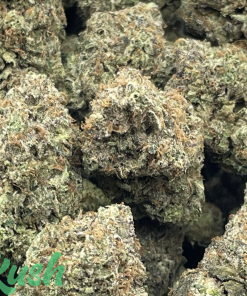 Pink Rockstar | Indica | Kush Station | Buy Weed Online In Canada