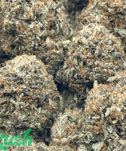 Rockstar | Indica | Kush Station | Buy Weed Online In Canada
