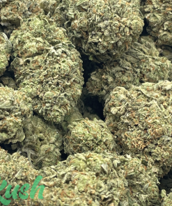 Violator | Indica | Kush Station | Buy Weed Online In Canada