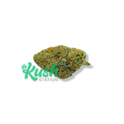 Watermelon | Hybrid | Kush Station | Buy Weed Online In Canada