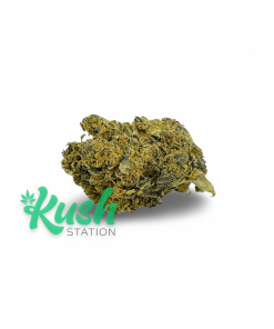 Indian Haze | Indica | Kush Station | Buy Weed Online In Kush Station