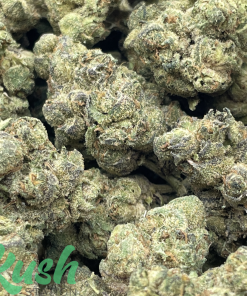 Apple Fritter | Hybrid | Kush Station | Buy Weed Online In Canada