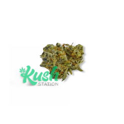 Death Bubba | Indica | Kush Station | Buy Weed Online In Kush Station