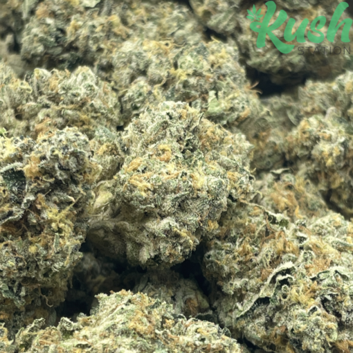 Ice Cream Cake (LSO) by Mr. Nice | Indica | Kush Station | Buy Weed Online In Canada