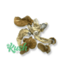 Daddy Long Legs | Mushrooms | Kush Station | Buy Weed Online In Canada