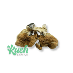 Daddy Long Legs | Mushrooms | Kush Station | Buy Weed Online In Canada