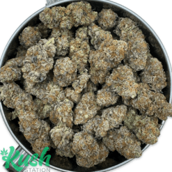 Gasoline Soda | Indica | Kush Station | Buy Weed Online In Canada