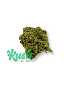 Hashplant | Indica | Kush Station | Buy Weed Online In Canada