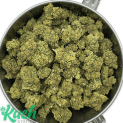 Hashplant | Indica | Kush Station | Buy Weed Online In Canada
