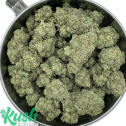 Sour Amnesia | Sativa | Kush Station | Buy Weed Online In Canada