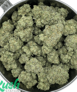 Sour Amnesia | Sativa | Kush Station | Buy Weed Online In Canada