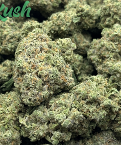 Sour Amnesia | Sativa | Kush Station | Buy Weed Online In Canada