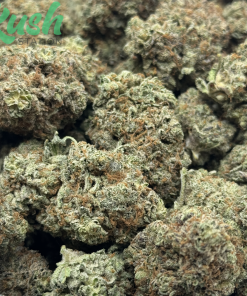 Watermelon | Indica | Kush Station | Buy Weed Online In Canada