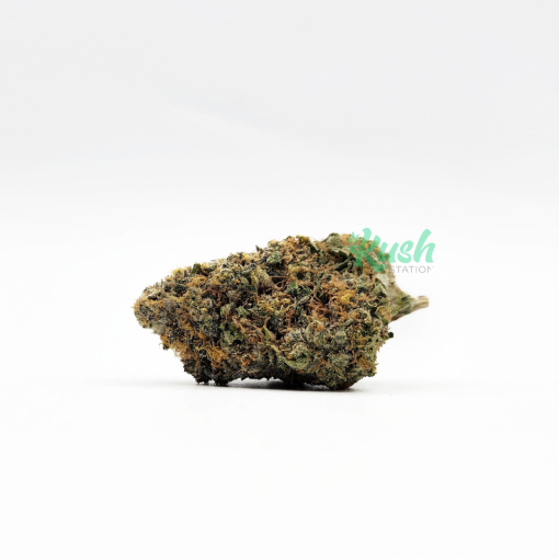 White Truffle | Hybrid | Kush Station | Buy Weed Online In Canada
