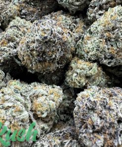 Purple Coma | Hybrid | Kush Station | Buy Weed Online In Canada