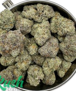 Purple Haze | Sativa | Kush Station | Buy Weed Online In Canada