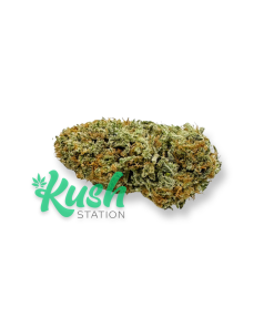 Sunset Sherbet | Indica | Kush Station | Buy Weed Online In Canada