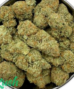 Sunset Sherbet | Indica | Kush Station | Buy Weed Online In Canada