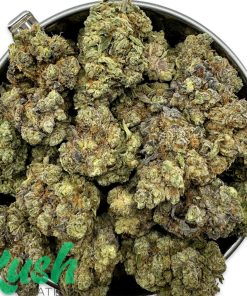 Gelatti | Hybrid | Kush Station | Buy Weed Online In Canada