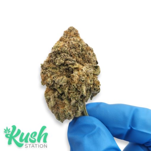 MAC 1 | Hybrid | Kush Station | Buy Weed Online In Canada