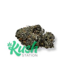 Permanent Marker | Indica | Kush Station | Buy Weed Online In Canada
