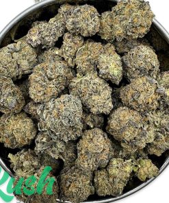 Permanent Marker | Indica | Kush Station | Buy Weed Online In Canada
