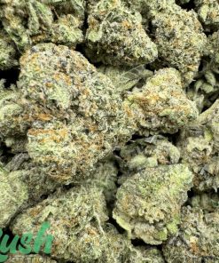 Sundae Driver | Hybrid | Kush Station | Buy Weed Online In Canada