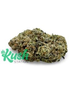 Coffee Kush | Indica | Kush Station | Buy Weed Online In Canada
