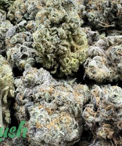 Coffee Kush | Indica | Kush Station | Buy Weed Online In Canada