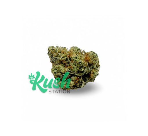 Gelato Mint | Hybrid | Kush Station | Buy Weed Online In Canada