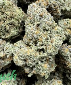 Green Tea | Indica | Kush Station | Buy Weed Online In Canada