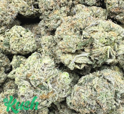 Girl Scout Cookies | Hybrid | Kush Station | Buy Weed Online In Canada