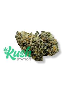 Koffee Breath | Hybrid | Kush Station | Buy Weed Online In Canada