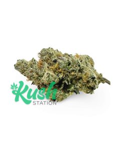 Northern Lights | Indica | Kush Station | Buy Weed Online In Canada