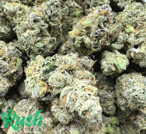 Northern Lights | Indica | Kush Station | Buy Weed Online In Canada