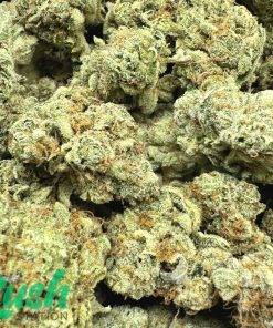 Rainbow Cake | Hybrid | Kush Station | Buy Weed Online In Canada