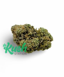 Tomb Raider | Indica | Kush Station | Buy Weed Online In Canada