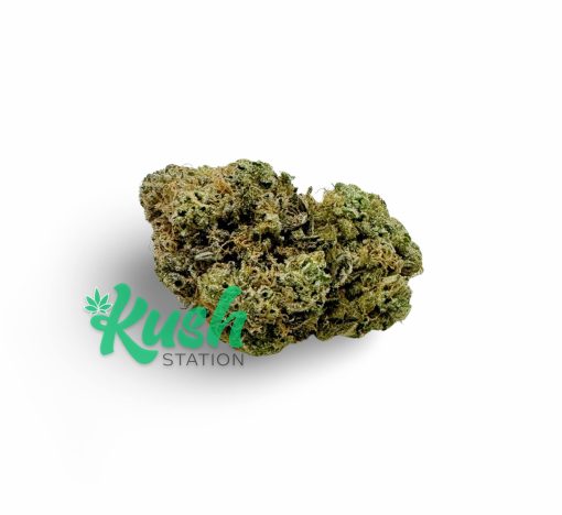 Tomb Raider | Indica | Kush Station | Buy Weed Online In Canada