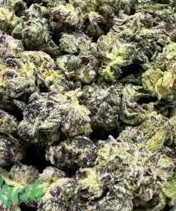 White Truffle | Hybrid | Kush Station | Buy Weed Online In Canada