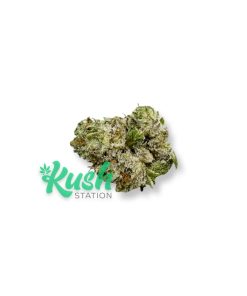 Gary Payton | Hybrid | Kush Station | Buy Weed Online In Canada