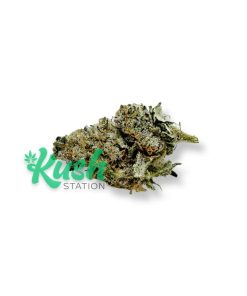 Fritter Glitter | Indica | Kush Station | Buy Weed Online In Canada