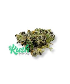 White Truffle | Hybrid | Kush Station | Buy Weed Online In Canada