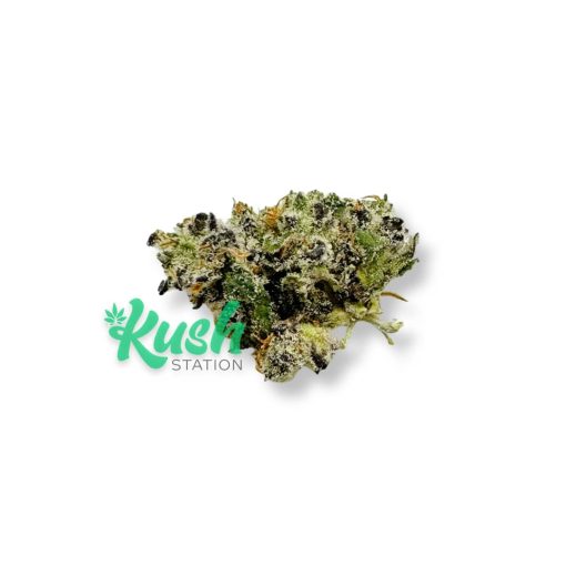 White Truffle | Hybrid | Kush Station | Buy Weed Online In Canada